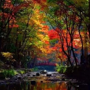 Meet your Posher, Marykay